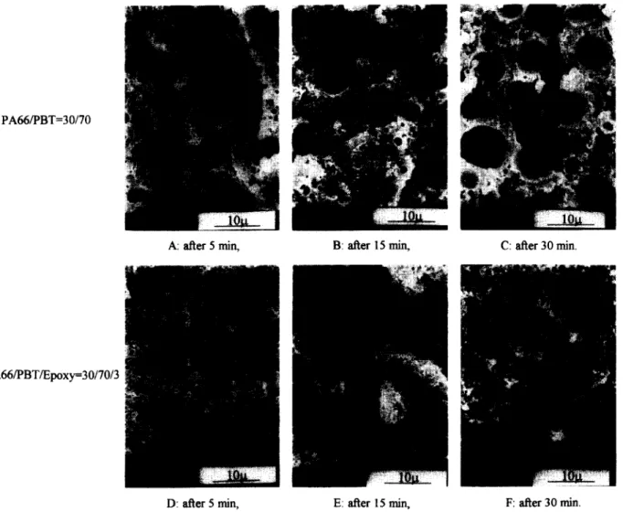 Figure  4  SEM  micrographs  of  uncompatibilized  and  compatibilized  specimens,  after  annealing  at  200°C