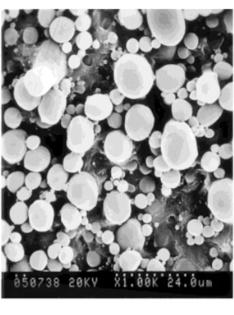Figure 10 SEM micrographs of the etched surfaces of the PP/PBT/PP–MA/epoxy ⫽ 20/70/10/x blends containing various amounts of epoxy.