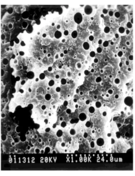 Figure 8 SEM micrographs of the etched surfaces of the PP/PBT/PP–MA/epoxy ⫽ 60/30/10/x blends containing various amounts of epoxy.