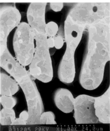 Figure 9 SEM micrographs of the etched surfaces of the PP/PBT/PP–MA/epoxy ⫽ 40/50/10/x blends containing various amounts of epoxy.