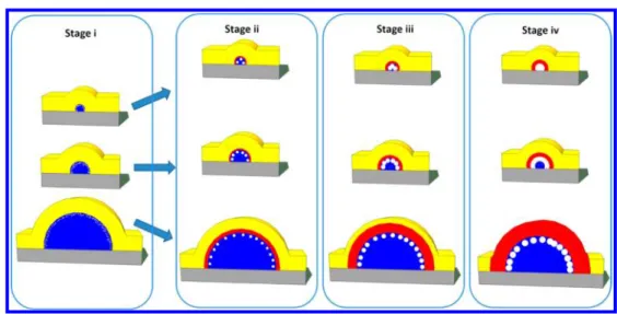 Figure 4. Schematic illustration of the hollow structures formed via the Kirkendall eﬀect