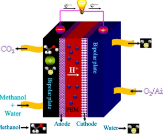 Figure 1 shows the basic operational principle of a fuel cell with its reactant or product gases and ion conduction ﬂow directions