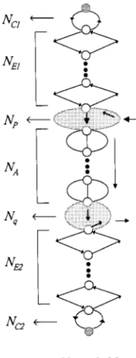 FIG. 11. General arrangement of the child subnetworks of a DET network M in all graph Ž w x w X x.
