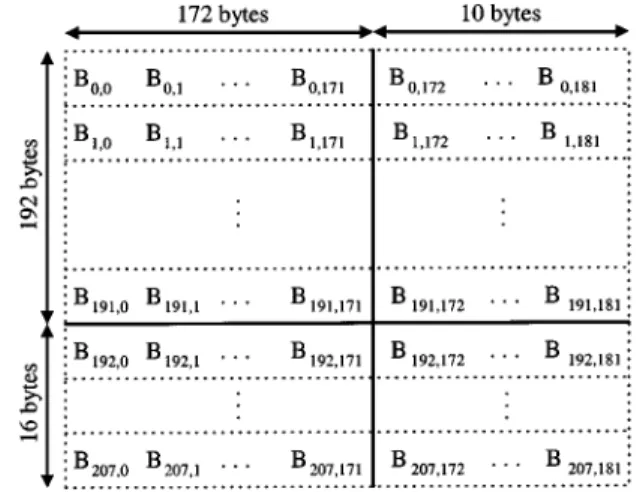 Fig. 1. DVD RS-PC frame structure.