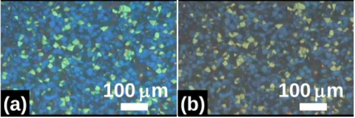 Fig.  2.  The  morphologies  of  DDPSBP-LC  observing  under  a  reflective  polarizing  optical  microscopy at (a)24 °C, and (b) 38 °C