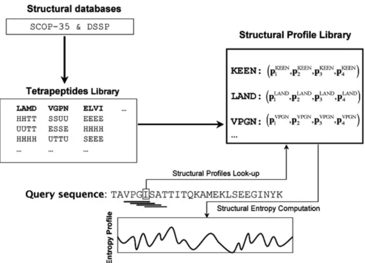 Figure 3 provides only a simpliﬁed picture of the general trends in structural entropy of the 20 amino acids