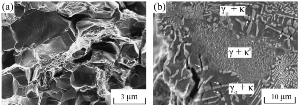 Fig. 6 Scanning electron micrographs of the alloy (aged at 823 K for 6 h) after tensile fractured