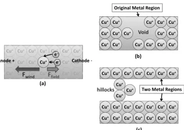 Fig. 1. Electromigration: (a) effect of F f ield and F wind for a Cu atom; (b) voids (open circuit) caused by