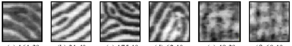 Fig. 2 shows six ridge patterns with their orientations calculated by Sobel operator,  where (a) and (b) contain minutiae, (c) and (d) contain SPs, and (e) and (f) contain noise