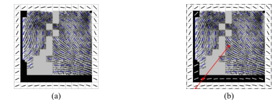 Fig. 7. (a) A fingerprint image divided in four types: certain (in ridge flows), uncertain (in gray),  background (in black), and outer border (in white); (b) The orientations of inner border  blocks are restored by orientations of the outer border blocks.