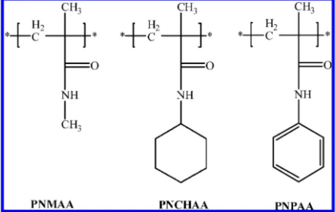 Figure 2. Chemical structures of poly(N-methyl methacrylamide)