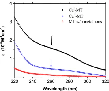 FIGURE 8 UV absorption spectra (3) of Cu I -MT, Cu II -MT, and apo-MT (without metal ions)