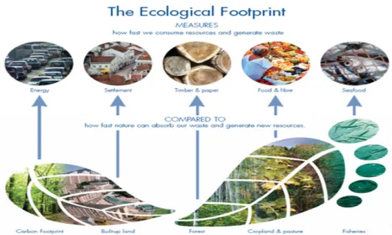 Figure 4.  Scope of the ecological footprint indicator  Source: GFN (2012). 