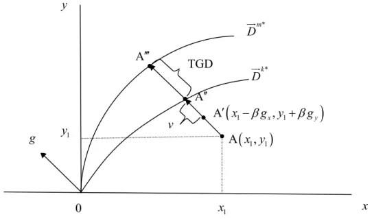 Figure 1. Metafrontier directional distance function 