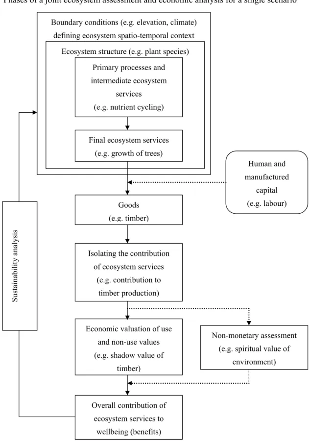 Figure 1.  Phases of a joint ecosystem assessment and economic analysis for a single scenario 
