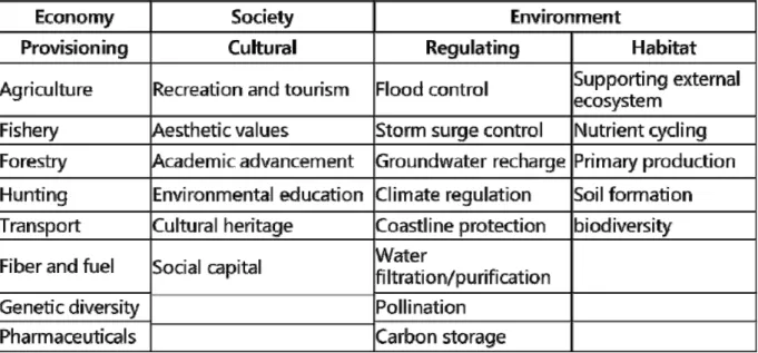 Table 1.  Contribution of the wetlands’ ecosystem service towards sustainable development 