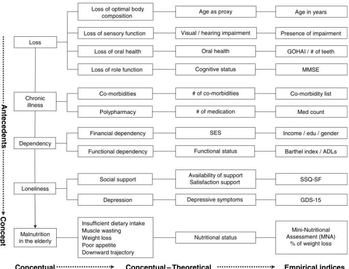 Figure 1 Refined conceptual-theoretical-empirical structure framework of malnutrition in older hospitalized patients