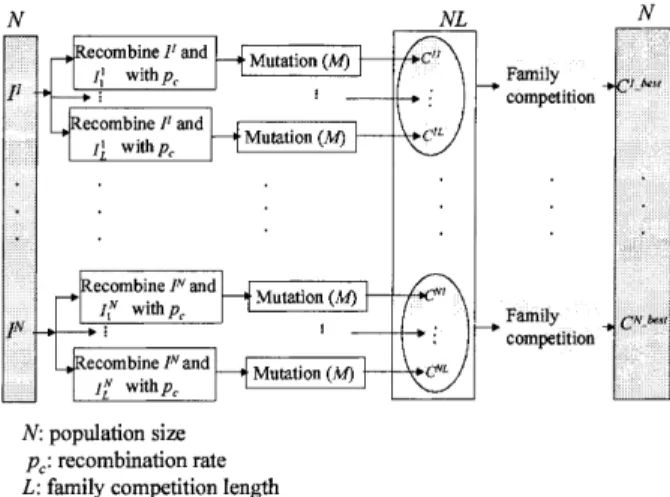 Fig. 4. The main steps of the family competition.