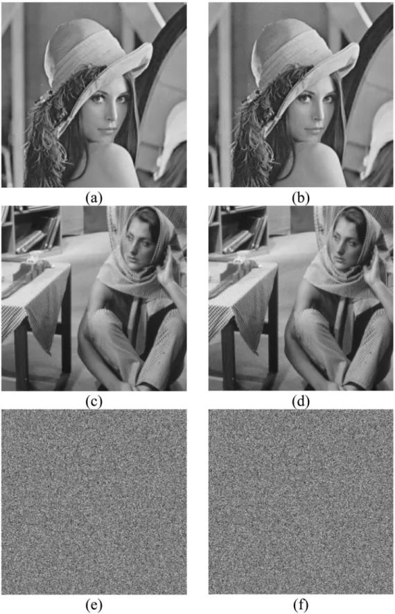 Fig. 5 共a兲 Original Lena 共256⫻256 with a gray-scaled level兲. 共b兲 Watermarked Lena 共PSNR 41.10兲