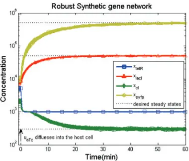 Fig. 3. The robust synthetic gene network design with uncertain initial values