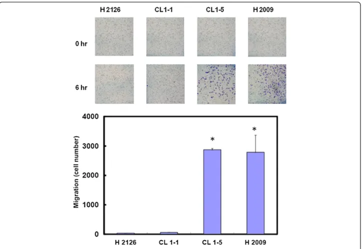 Figure 1 Differences in migration ability among four NSCLC cell lines (H2126, CL1-1, CL1-5 and H2009)