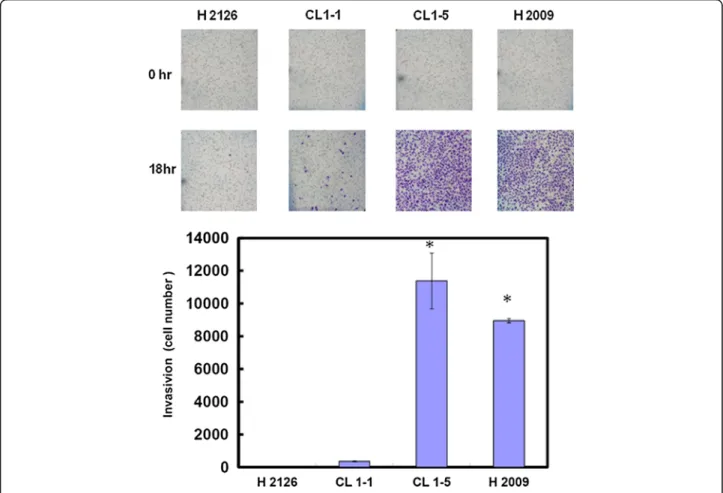 Figure 2 Differences in invasion ability among four NSCLC cell lines (H2126, CL1-1, CL1-5 and H2009)