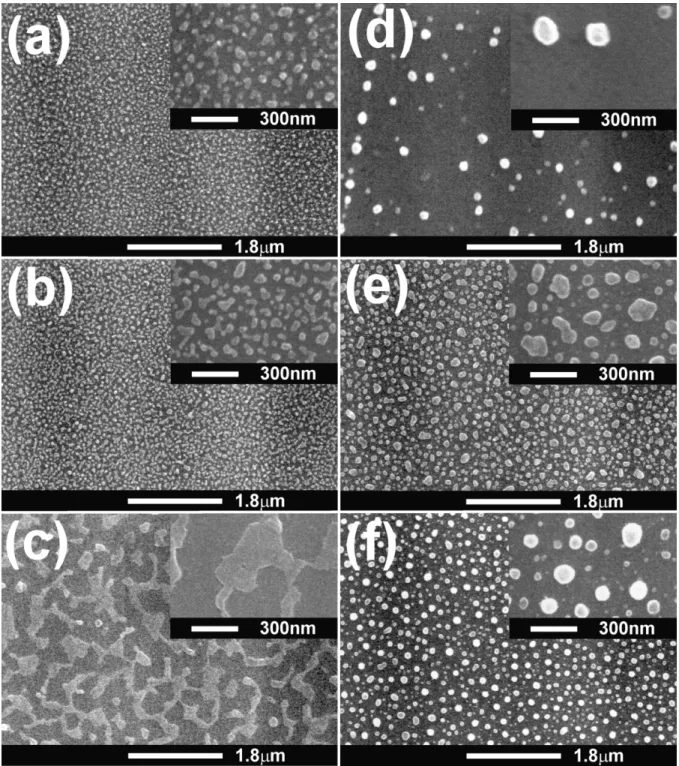 Fig. 1. SEM micrographs of the pretreated catalyst-coated substrates for different catalyst materials and pretreatment conditions: (a) Co (specimen