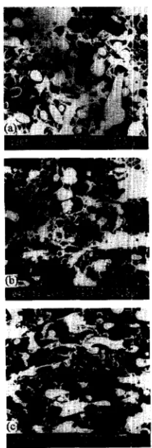 Figure  7  The  SEM  micrographs of the near-skin section of the fractured  surfaces of injection bars out of blends:  (a)  Ve,ztra/PEl  (20/80);  (b) Vectra/  POB-PET/PEI  (20/3/80);  and  (c)  Vectra/POB-PET/PEI  (20/5/80) 