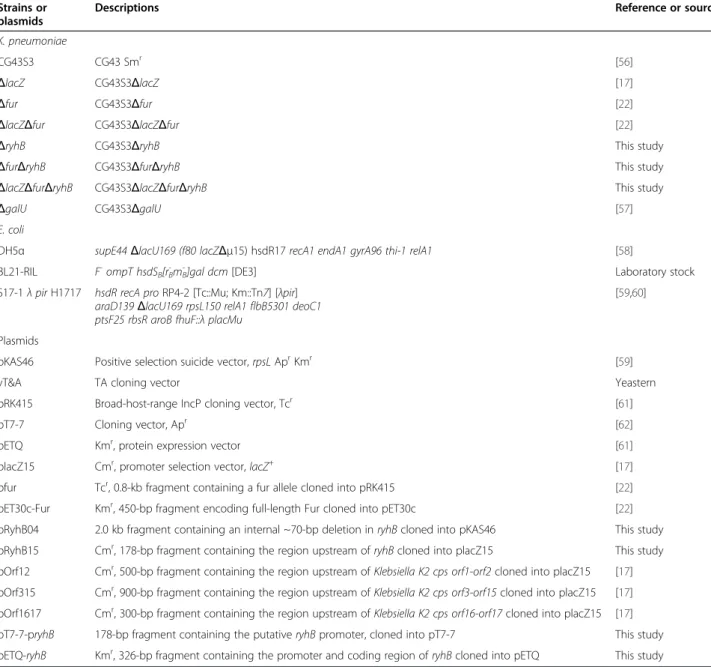 Table 2 Bacterial strains and plasmids used in this study