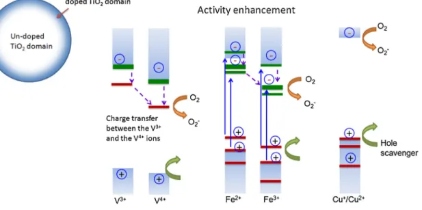 Fig. 8. The roles of the surface-doped ions in charge trapping, recombination, interfacial transfer, and interaction with surface species.