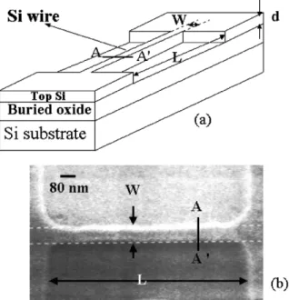 Fig. 1. (a) Schematic diagram of Si quantum wire and (b) the corresponding SEM photograph.