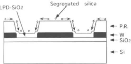 Figure 9.  A  model  f o r  selective  LPD  SiO,  growth. 