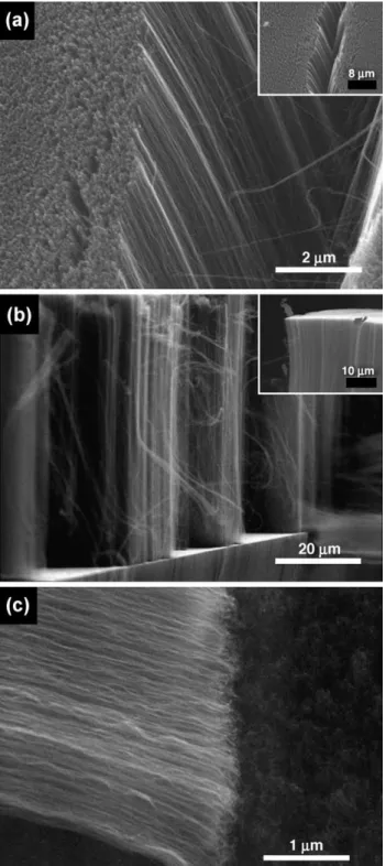 Fig. 1. SEM morphologies of vertically aligned CNTs under Ti barrier layer deposition conditions (CNT grown on Si/Ti); (a) top views at two magnifications; (b) cross-sectional views at two magnifications; (c) CNTs tips far from the substrate.