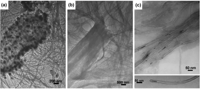 Fig. 1 depicts the SEM morphologies of the CNTs using a Ti 2 -coated Si substrate (CNT grown on Si/Ti); Fig