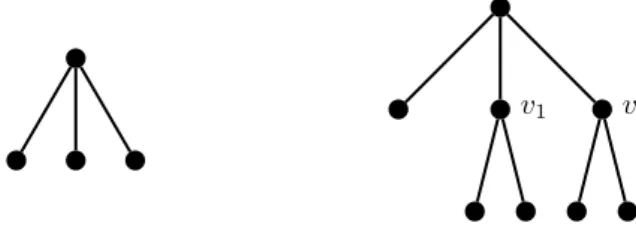 Figure 2: Every node of the tree on the left is a rumor center; the nodes v 1 and v 2 of the