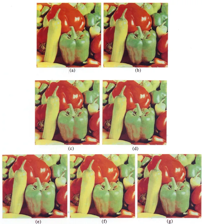 Fig. 7.  The  64color  quantized  images  generated  by using  different  algorithms  on the 15  bit  versions  of 