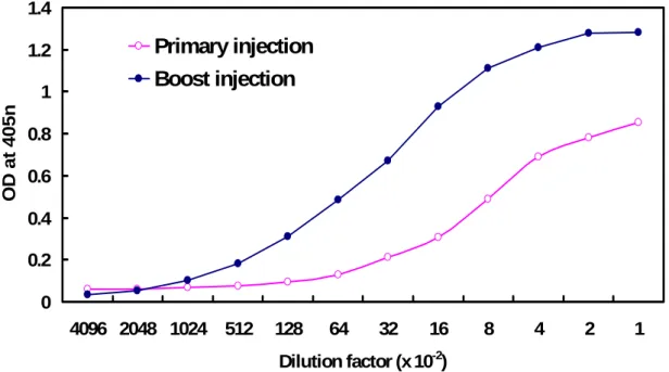 圖 5.  兔子血清力價測試。將 peptide 9 immunize 兔子，經二次 immunize 加強後，  抗體力價由 1000 上升至 6400。   