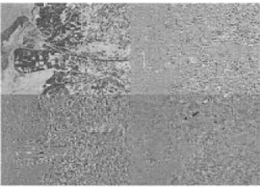 Fig. 3. Result of wavelet decomposition of a channel input, where the top left and bottom right are the result of wavelet decomposition from both low pass and from both high pass in columns and in rows, respectively