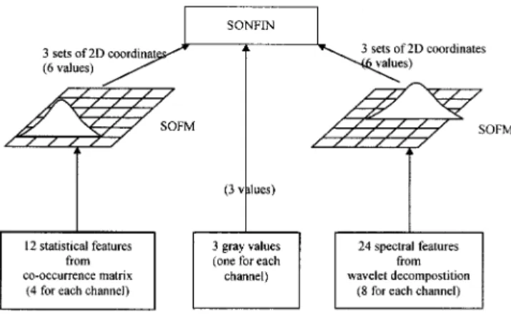 Fig. 5. System architecture of the CNFM used in our experiment.