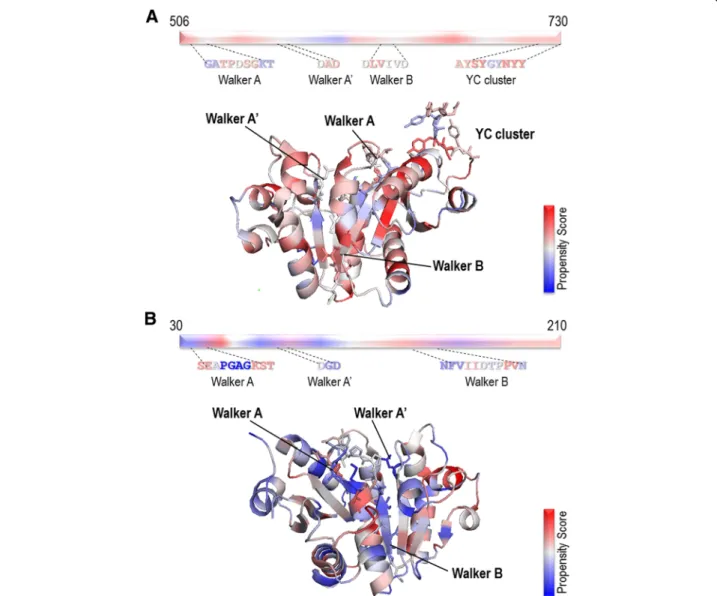 Fig. 4 The AA visualization of BY-kinase structures. a AA visualization of the overall structure of the Etk kinase domain (PDB code 3CIO)