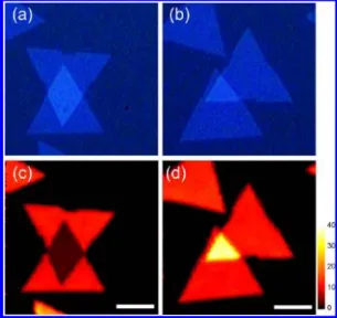 Figure 3. (a) The optical microscopy image of a particular MoS 2 bilayer with a stacking angle of θ = 25