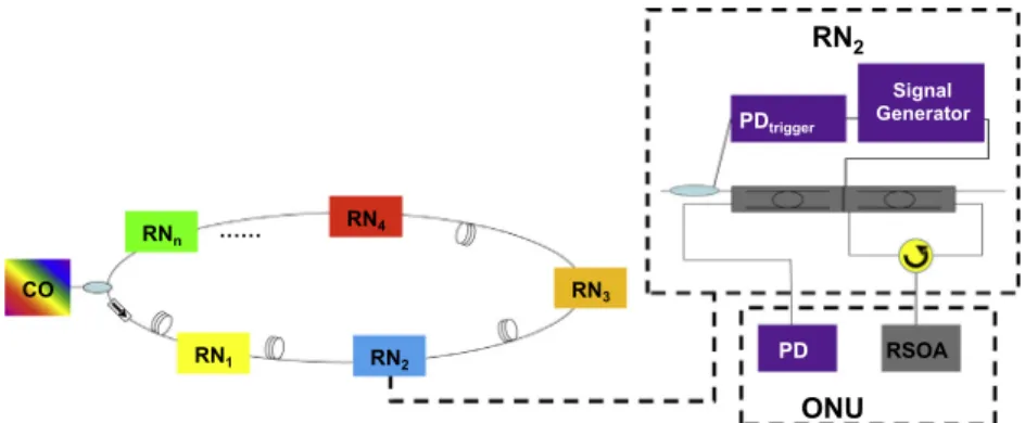 Fig. 1 shows the architecture of the proposed WDM ring based system. WDM signals are transmitted from the central ofﬁce (CO) to different remote nodes (RNs)