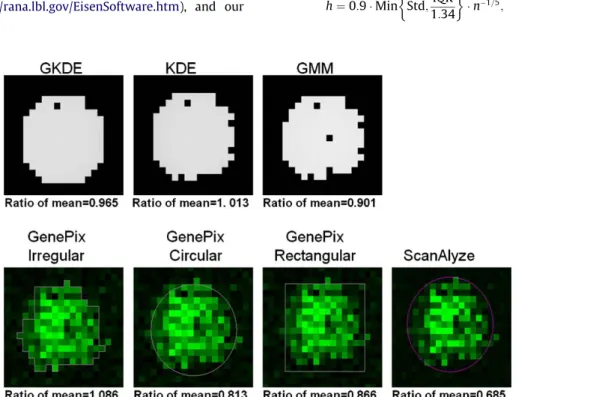 Fig. 1 displays the segmentation of one Cy3 spot by using Gene-