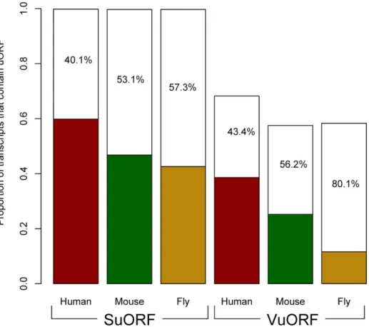 Figure 1. The theoretical (colored + blank bars) and observed (the colored bars) proportions of genes that encode at least one SuORF (left half) or VuORF transcript (right half) in human, mouse, and fruit fly