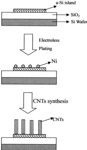 Figure 5. SEM images of CNTs on the a-Si patterns with electroless Ni
