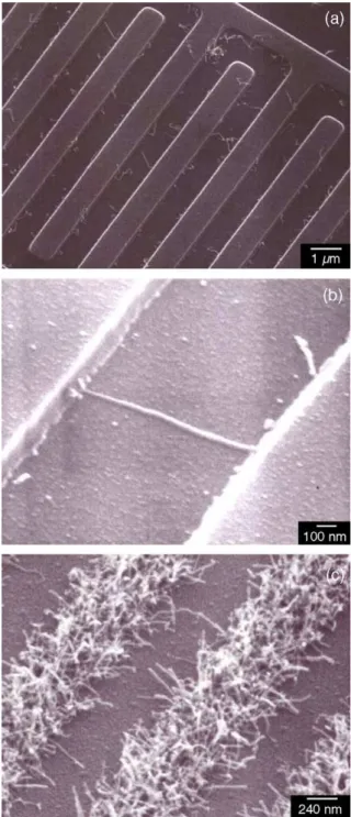 Fig. 5. SEM micrographs of the as-deposited CNTs on Ni-coated patterns under different catalyst electroless plating times, (a) 15, (b) 20, and (c) 60 s, respectively.