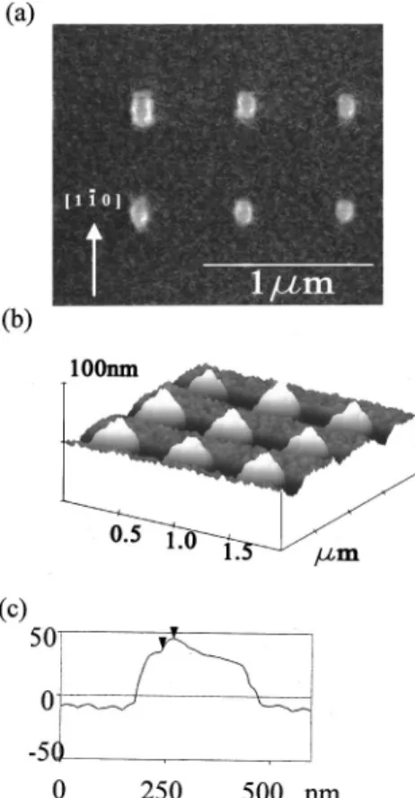 Figure 2 共a兲 shows a scanning electron microscopy