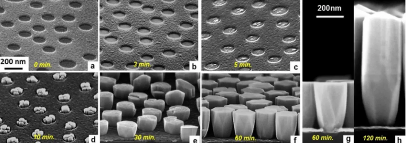 Figure 2.  Birds-view (a–f) and side-view (g,h) SEM micrographs showing the nucleation and time evolution of 