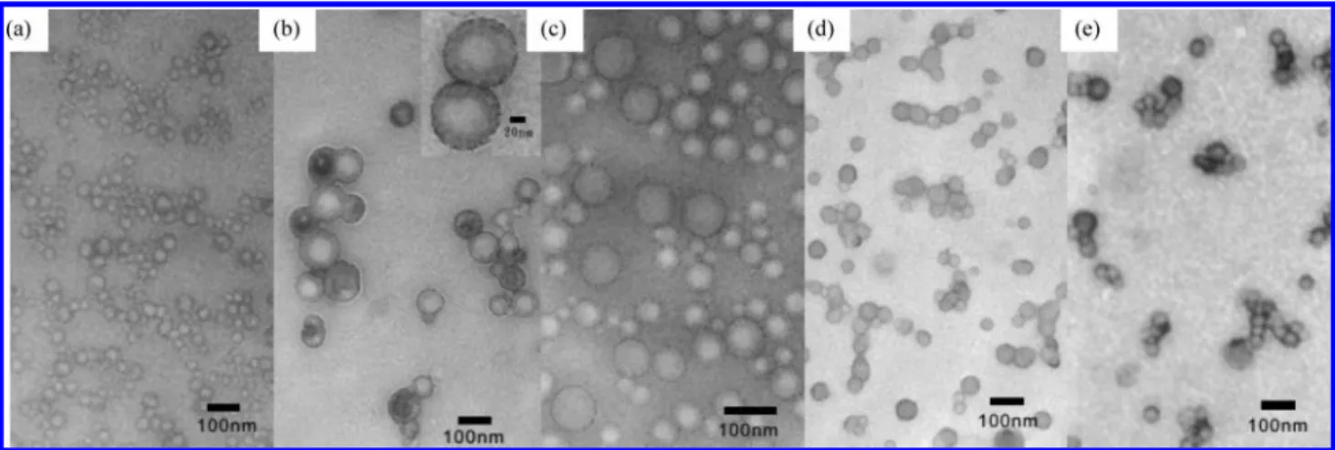 Figure 5. TEM images of PS-r-PVPh/PMMA-b-P4VP blends in THF at (a) [N]/[OH] ) 4/1, (b) [N]/[OH] ) 2/1, (c) [N]/[OH] ) 1/1, (d) [N]/[OH] ) 1/2, and (e) [N]/[OH] ) 1/4.