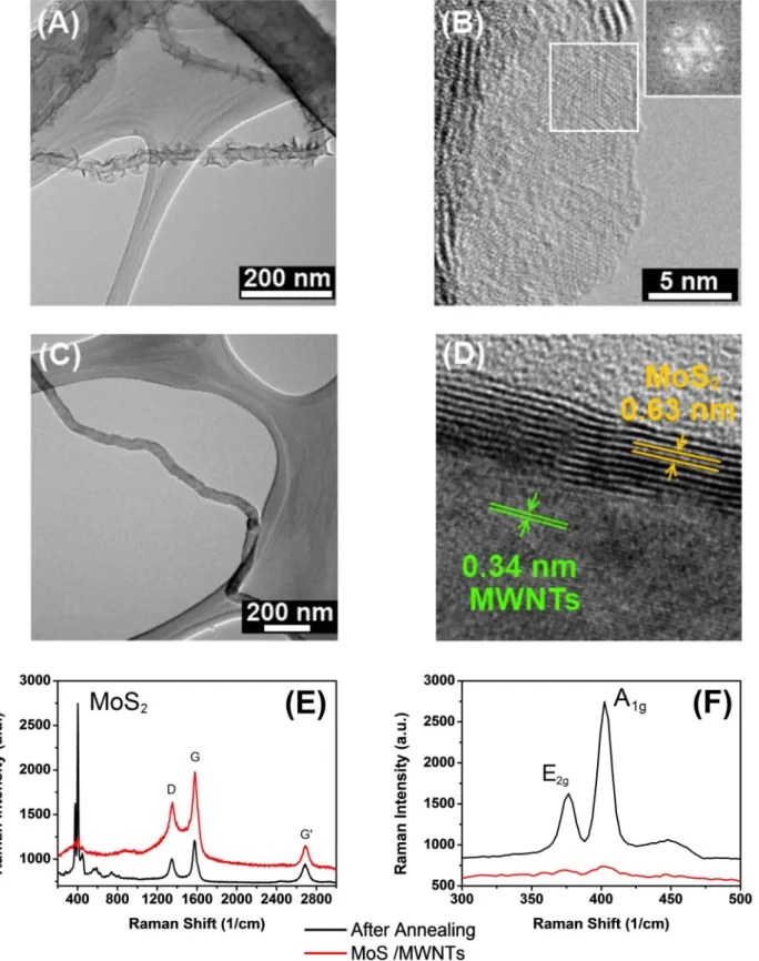Figure 1 | (A) and (C) Low-magnification TEM image of MoS x /MWNTs with hierarchical nanostructure and MoS x /MWNTs after annealing at 800 6 C
